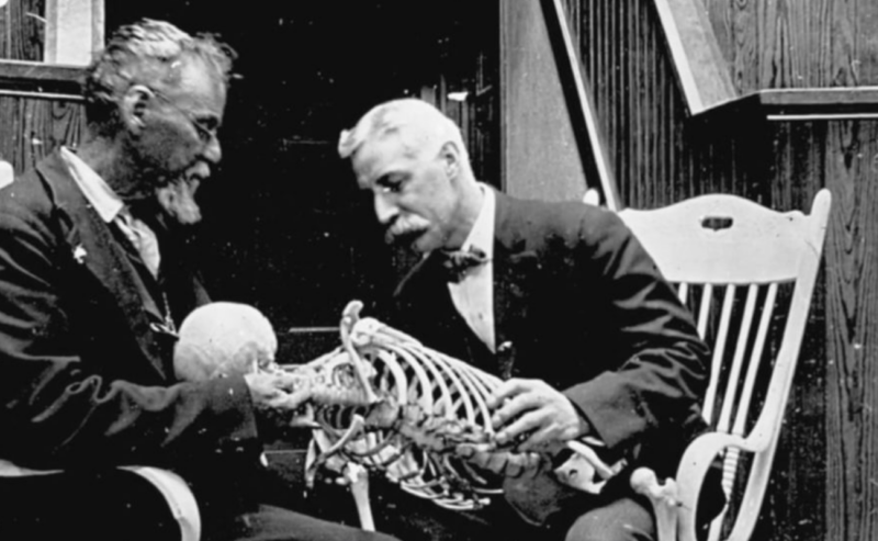 I Grandi Maestri dell&rsquo;Osteopatia